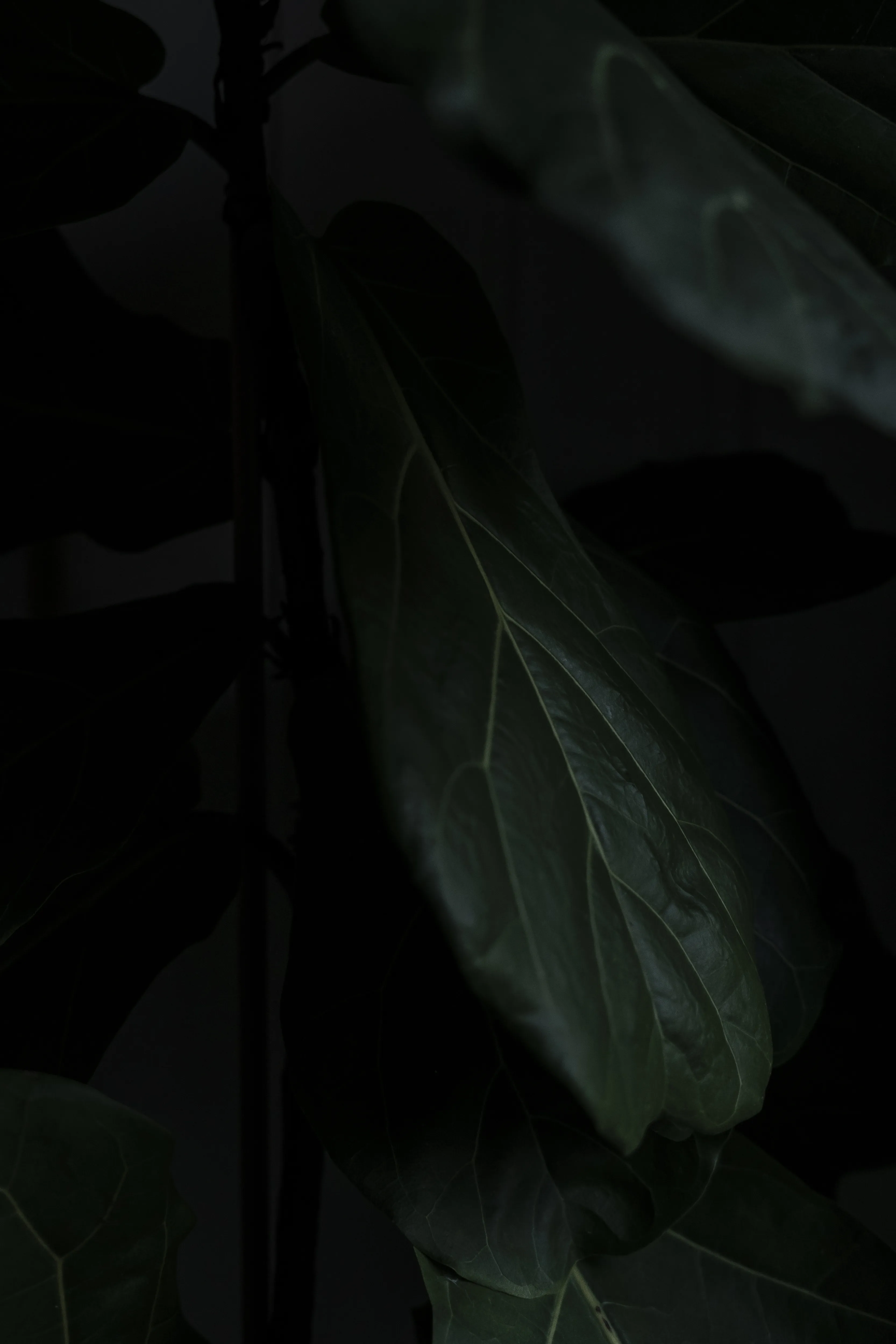 Footer background